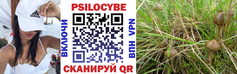 Псилоцибиновые грибы мицелий  Купить  Сычёвка 